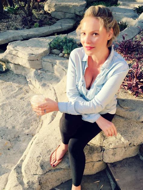 katherine heigl hot|Katherine Heigl Wears Bikini During Family Vacation